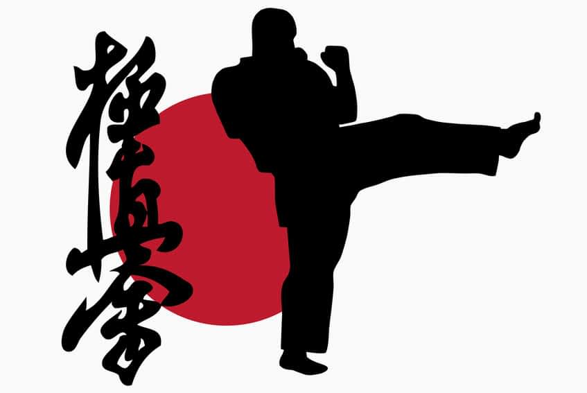 Чем отличается Киокушинкай от других видов каратэ